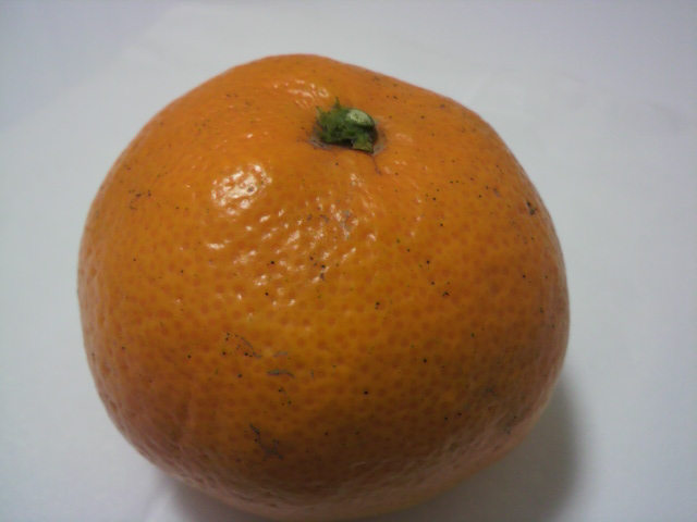 ݂ۂƂP