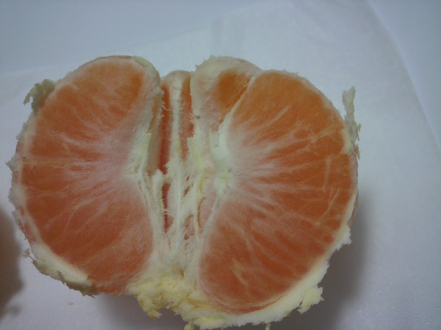 ݂̔𔍂Ƃ